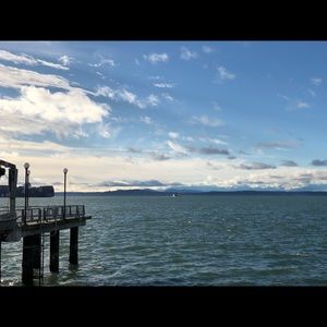 Meet your Posher, Toby